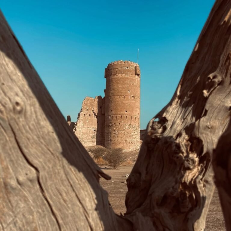 التقاطه مميزه من بلاد السر ( الغبّى ) بولاية عبري