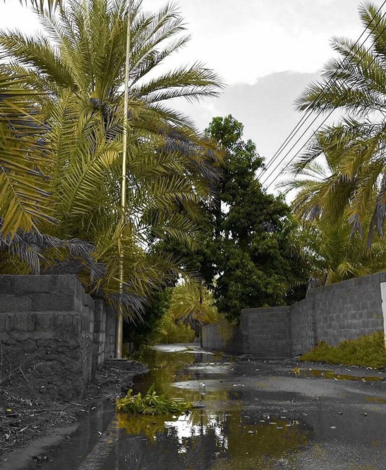 امطار ف بلدة العراقي بتاريخ 23-08-2021